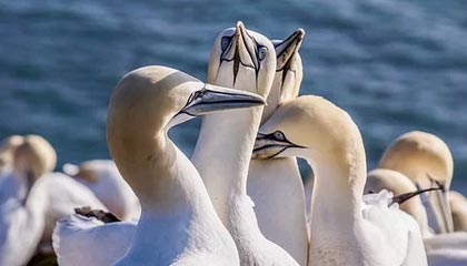 国产日产欧产综合,国产日产欧产综合免费网站