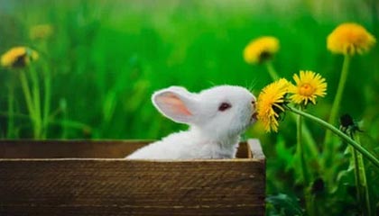 蘑菇影视在线观看盘点:八卦10个细节真相,网红上榜理由罕见令人炸裂